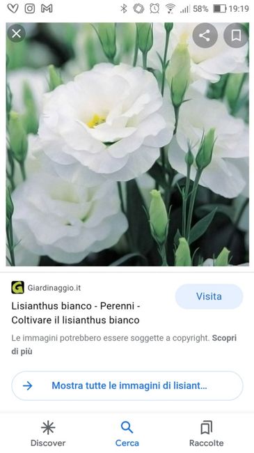 Colori matrimonio, perché li avete scelti? 2