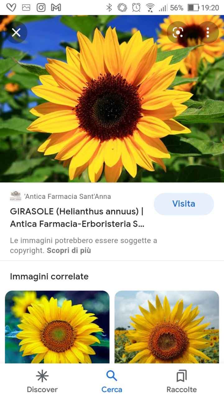 Colori matrimonio, perché li avete scelti? - 1