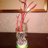 Centro tavola fai da te - 1