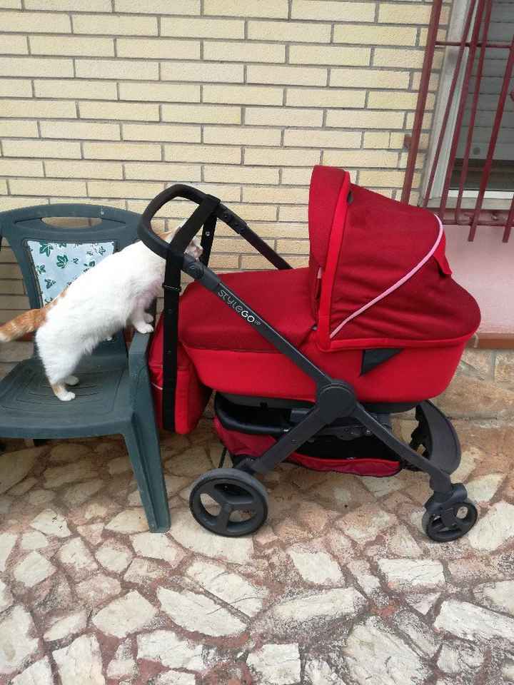 Pancine e animali domestici - 1