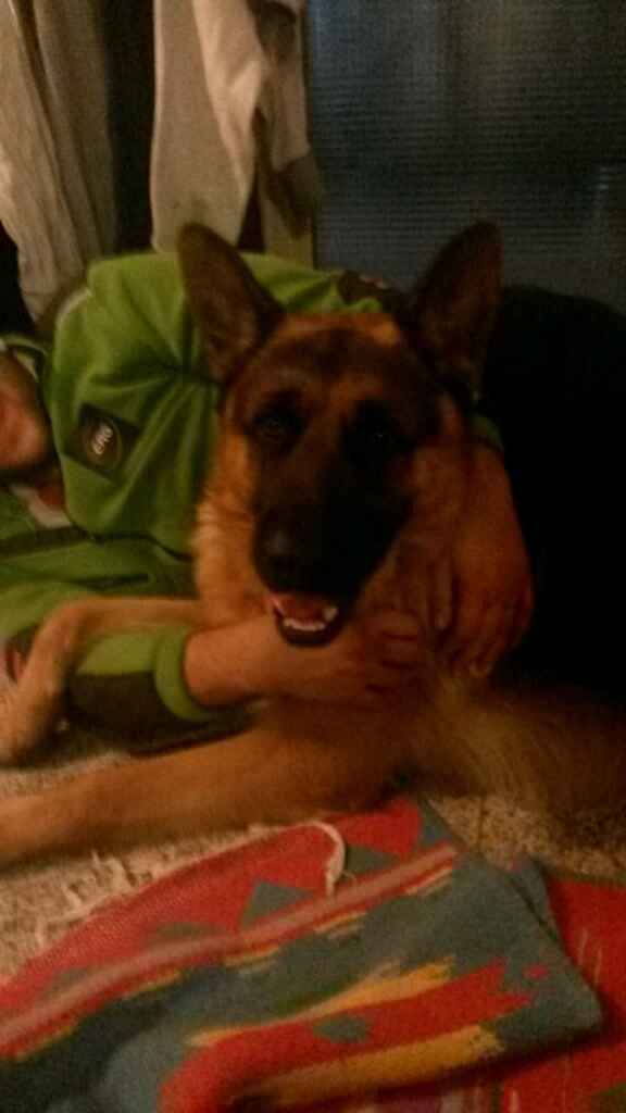 Ecco mio "figlio peloso" - 1