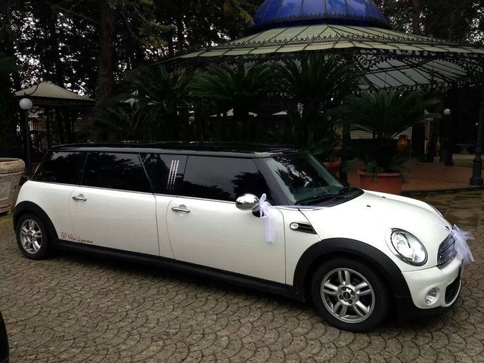 Mini limousine