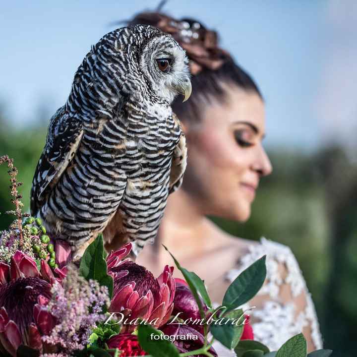 il giorno Piu’ Bello! - 9