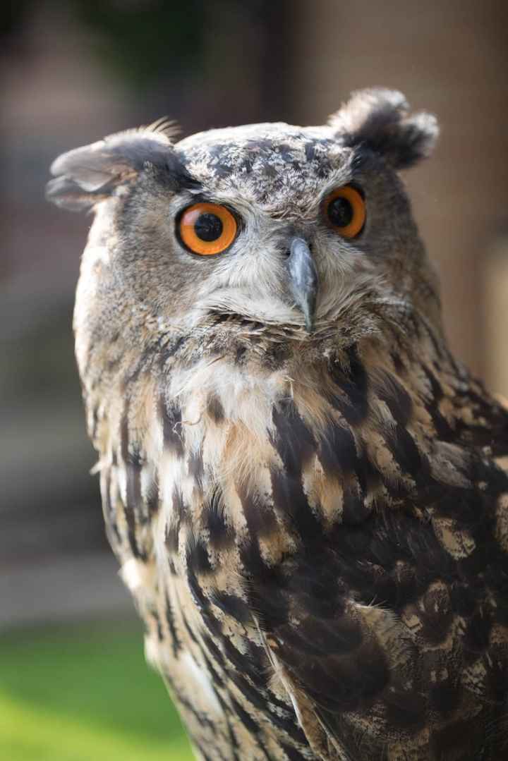 il giorno Piu’ Bello! - 4