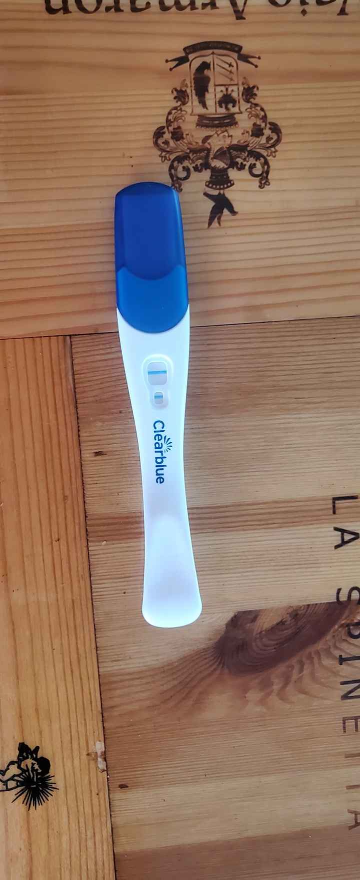 Chi non le aspetta per Aprile 2022 💓🍀🤞🏼 - 1