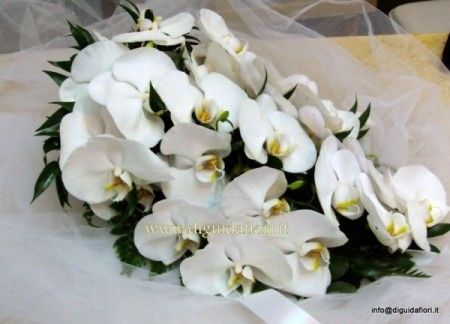 orchidea bouquet