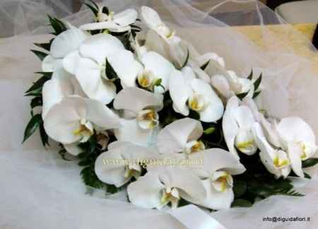 orchidea bouquet