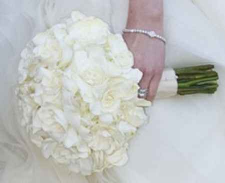 bouquet ortensie bianche