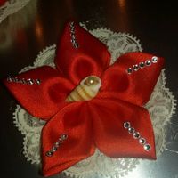 2017... cosa posso fare adesso??? - 1