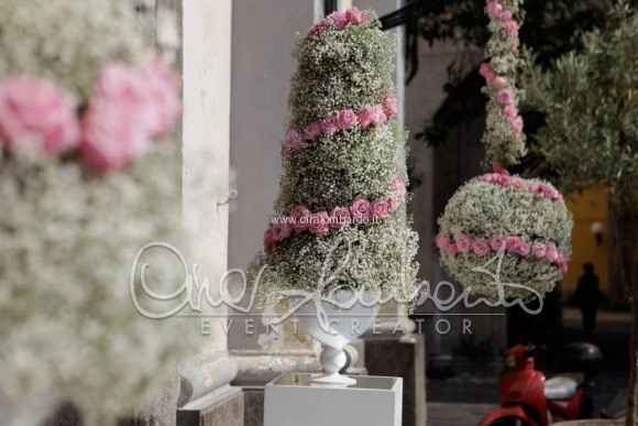 nebbiolina + rose rosa