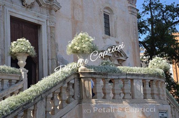 nebbiolina + rose bianche