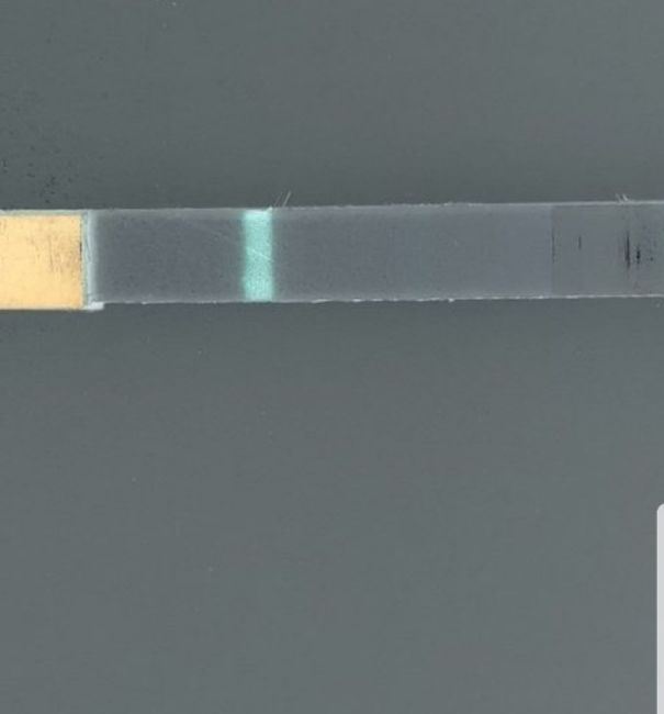 Chi non le aspetta per novembre 2019 - 1