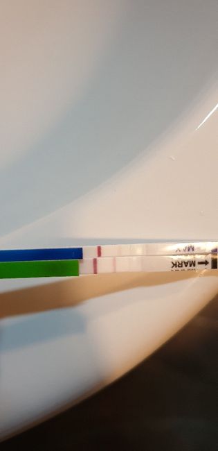 Chi non le aspetta per novembre 2019 - 1