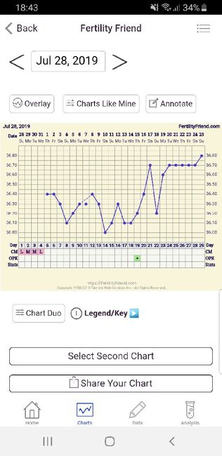 Grafico temperatura basale. Help!!! 2