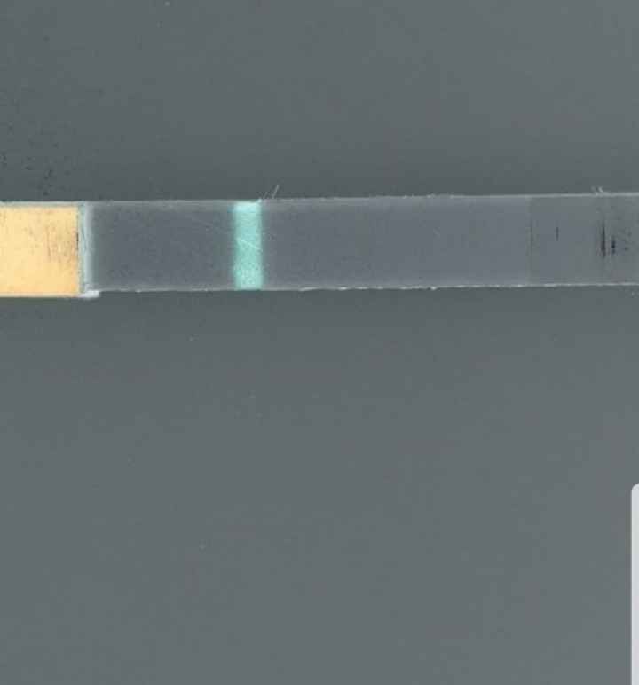 Chi non le aspetta per novembre 2019 - 1