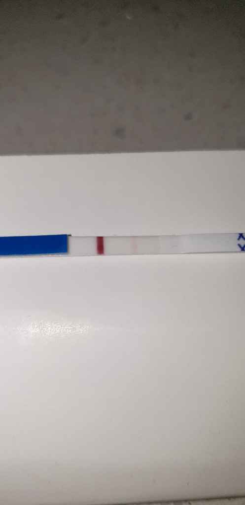 Chi non le aspetta per novembre 2019 - 1