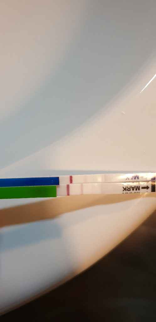 Chi non le aspetta per novembre 2019 - 1