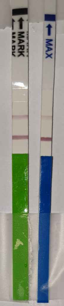 💝🎄🎉🎅🎁chi non le aspetta per dicembre 2019🎅🎁🎉🎄 - 1