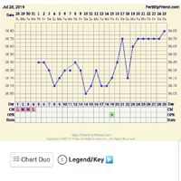Grafico temperatura basale. Help!!! - 1