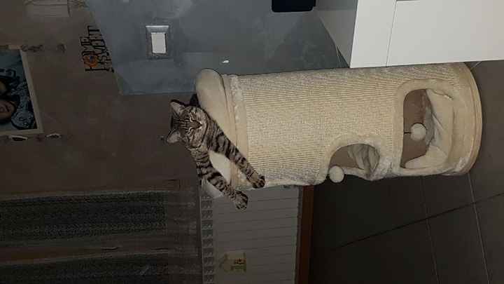 Siamo chico e cuba - 3