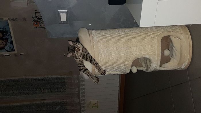 Siamo chico e cuba - 3