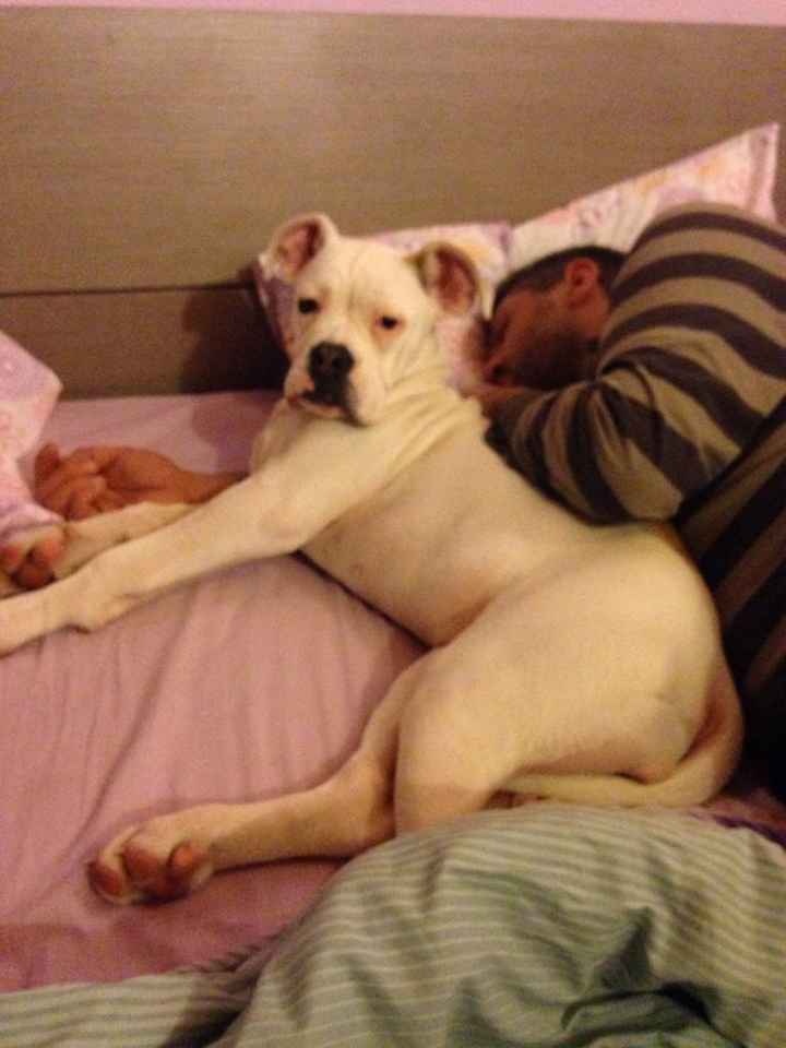 I nostri amici animali.. - 2