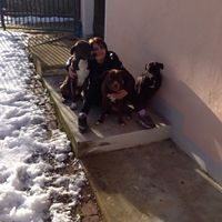 I nostri amici animali.. - 1