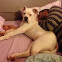 I nostri amici animali.. - 2