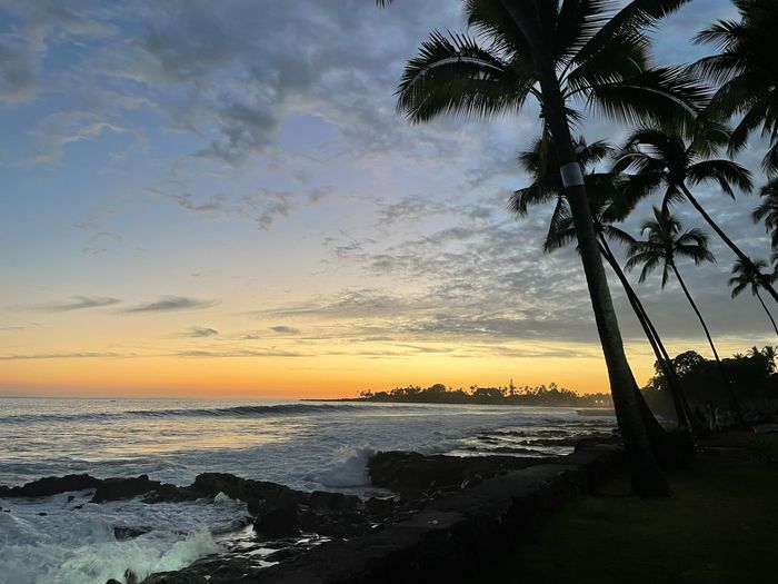 Andate alle Hawaii! 2