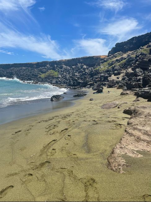 Andate alle Hawaii! 3