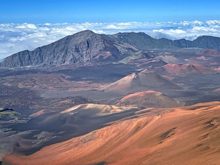 Andate alle Hawaii! - 5