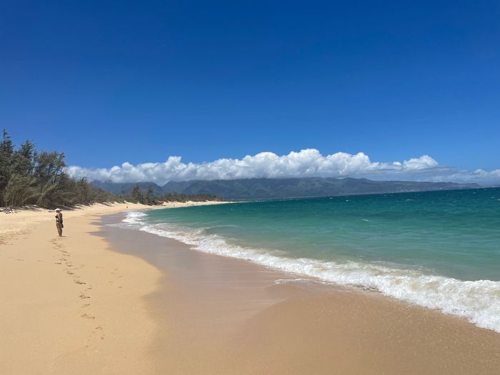 Andate alle Hawaii! - 6