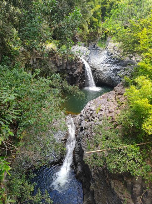 Andate alle Hawaii! 7