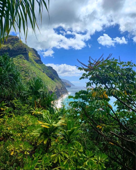 Andate alle Hawaii! - 8