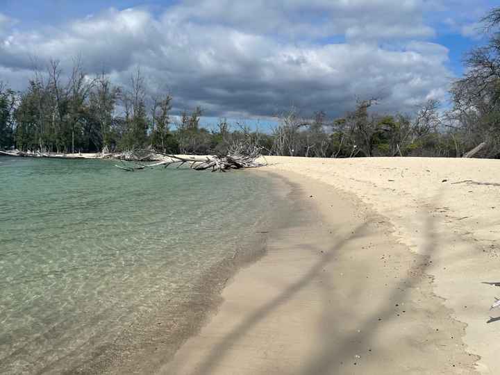 Andate alle Hawaii! - 1