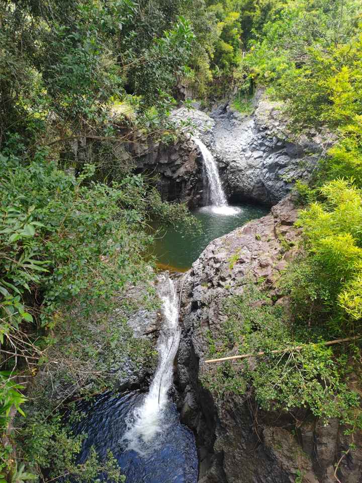 Andate alle Hawaii! - 7