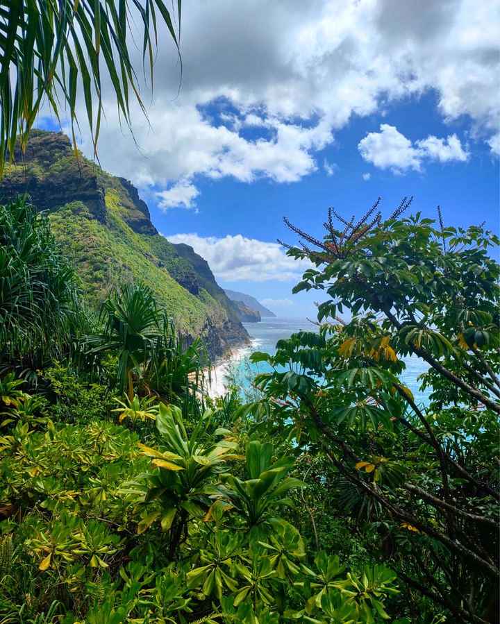 Andate alle Hawaii! - 8