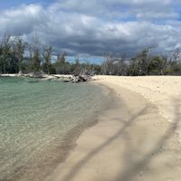 Andate alle Hawaii! - 1