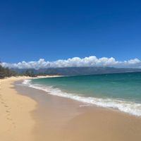 Andate alle Hawaii! - 6