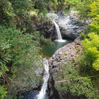 Andate alle Hawaii! - 7