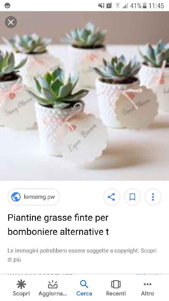 Piantine come bomboniere - 1