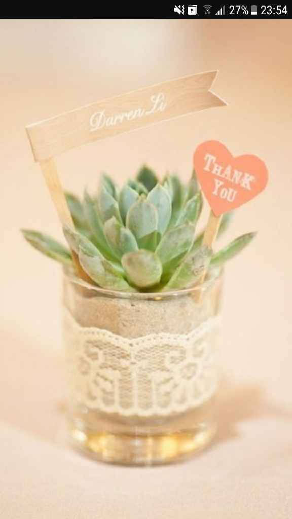 Piantine come bomboniere - 2