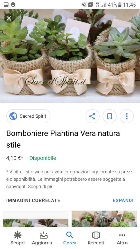 Piantine come bomboniere - 3