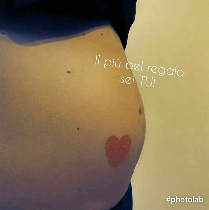 Pancino 15esima settimana - 1