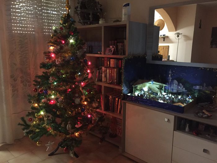 Fatto anche l'albero di Natale! - 1