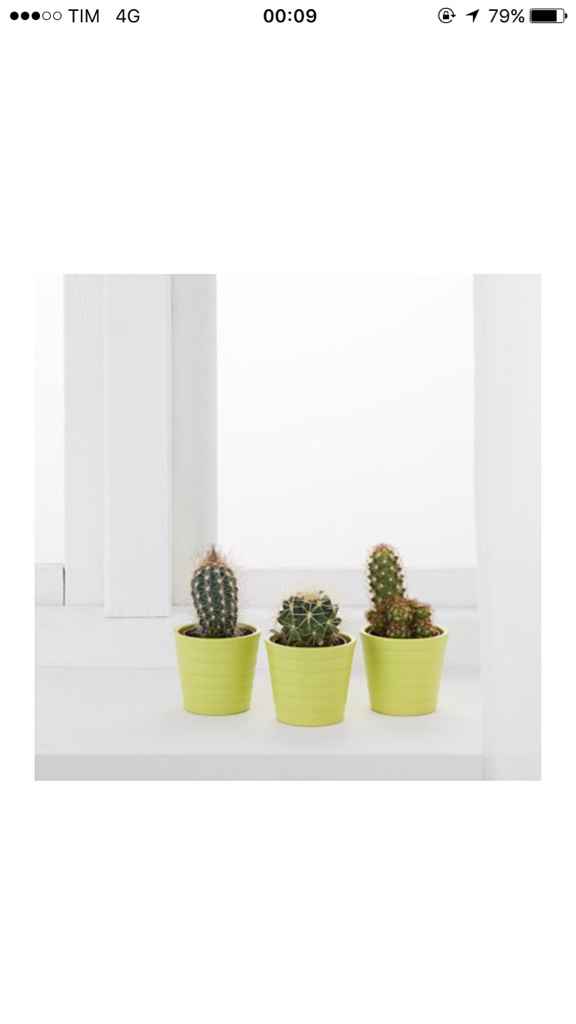 Pensierino per le colleghe - 1