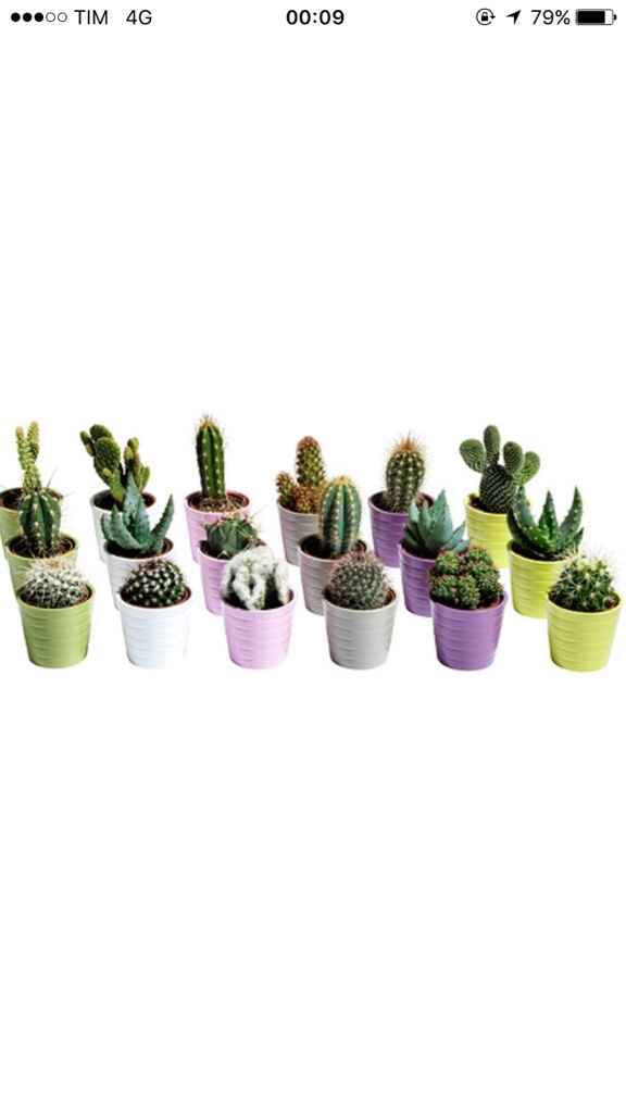 Pensierino per le colleghe - 2