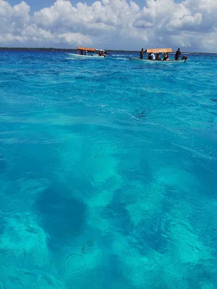 Viaggio di nozze! Stiamo impazzendo 😦 - 1