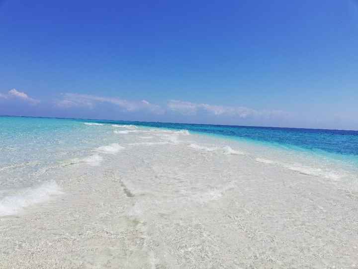 Viaggio di nozze! Stiamo impazzendo 😦 - 2