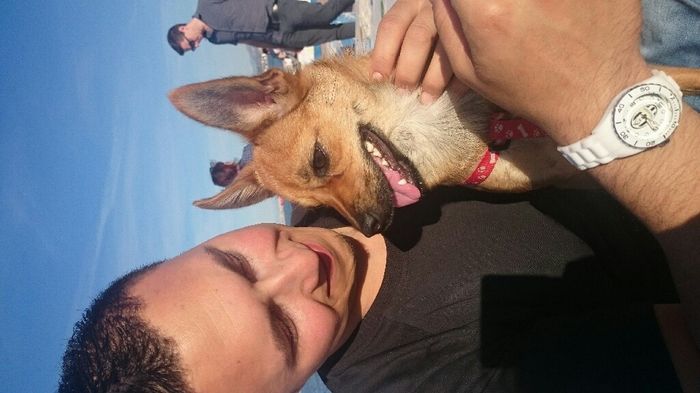 I nostri amici a 4 zampe - 1